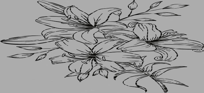 16oz Element-EN-1208